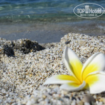 фото из отзыва ID 1035361