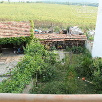 фото из отзыва ID 1035420