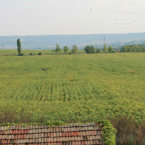 фото из отзыва ID 1035420