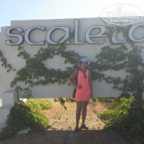 фото из отзыва ID 1035553