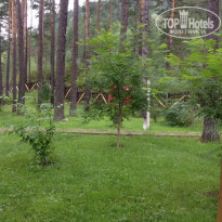 фото из отзыва ID 1035846