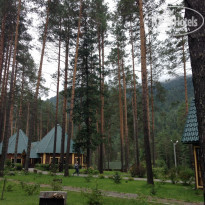 фото из отзыва ID 1035846