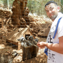 фото из отзыва ID 1036061