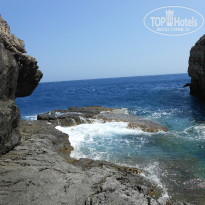 фото из отзыва ID 1036061