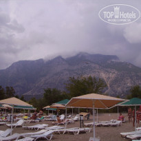 фото из отзыва ID 1036084