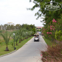 фото из отзыва ID 1036103