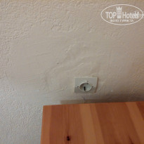 фото из отзыва ID 1036353