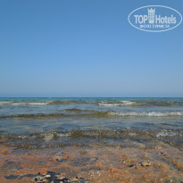 фото из отзыва ID 1036505