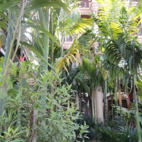 фото из отзыва ID 1036536