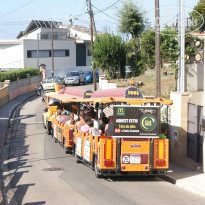 фото из отзыва ID 1036593