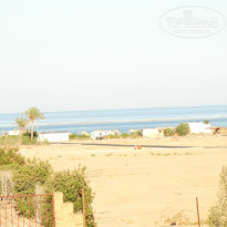 фото из отзыва ID 1036632