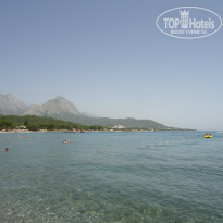 фото из отзыва ID 1036676