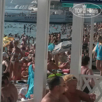 фото из отзыва ID 1036872