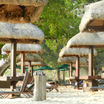 фото из отзыва ID 1036892