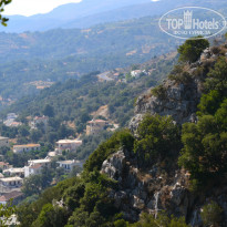 фото из отзыва ID 1036979