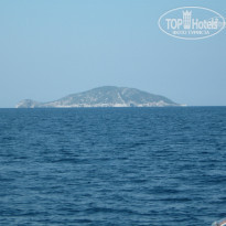 фото из отзыва ID 1037573