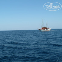 фото из отзыва ID 1037573