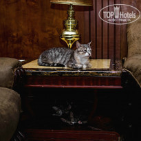 фото из отзыва ID 1037856