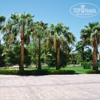 фото из отзыва ID 1037856