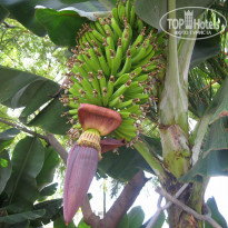 фото из отзыва ID 1037859