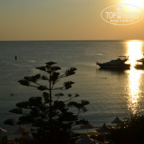 фото из отзыва ID 1037936