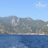 фото из отзыва ID 1038094