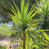 фото из отзыва ID 1038094