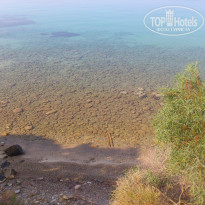 фото из отзыва ID 1038183