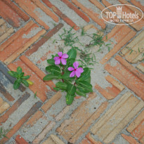 фото из отзыва ID 1038382