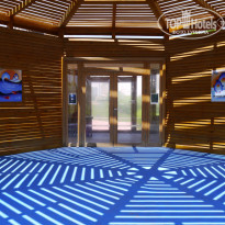 фото из отзыва ID 1038438