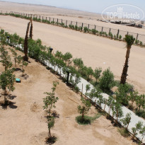 фото из отзыва ID 1038781