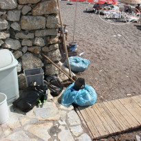 фото из отзыва ID 1038861