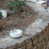 фото из отзыва ID 1038861