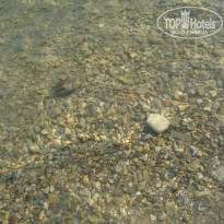 фото из отзыва ID 1039005