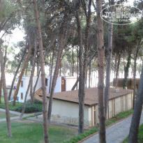 фото из отзыва ID 1039005