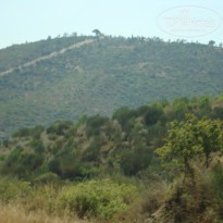 фото из отзыва ID 1039005