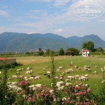 фото из отзыва ID 1039050