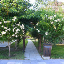 фото из отзыва ID 1039112