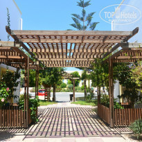 фото из отзыва ID 1039112