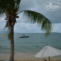 фото из отзыва ID 1039340