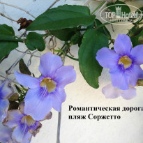 фото из отзыва ID 1039609