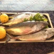 фото из отзыва ID 1039609