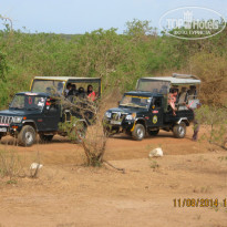 фото из отзыва ID 1039509