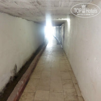 фото из отзыва ID 1039691