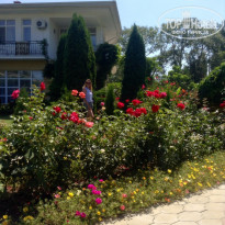 фото из отзыва ID 1039695