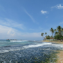 фото из отзыва ID 1039759