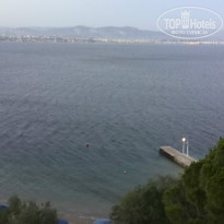 фото из отзыва ID 1035991