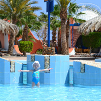 фото из отзыва ID 1037430