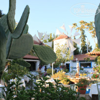 фото из отзыва ID 1033995