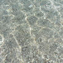 фото из отзыва ID 1033162